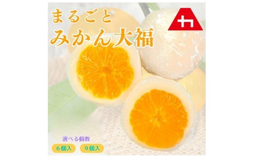 
                  まるごとみかん大福 6個／9個入り
                