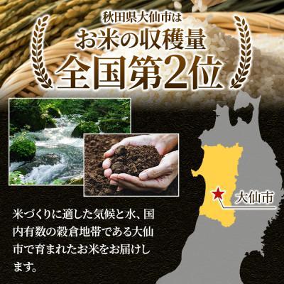 ふるさと納税 大仙市 《令和7年産》【白米】秋田県大仙市産 あきたこまち 精米 5kg 1回のみお届け |  | 01