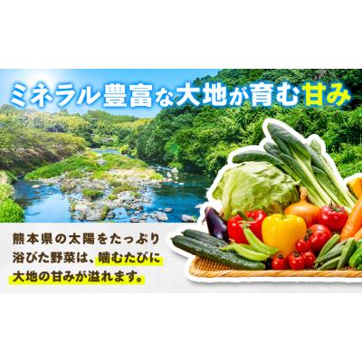 ふるさと納税 氷川町 【3ヶ月定期】旬の野菜・果物詰合わせ 10-15品 氷川町産 道の駅竜北《お申込み月の翌月から出荷 |  | 01