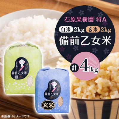 ふるさと納税 高梁市 【石原果樹園】備前乙女米　白米2Kg×1袋・玄米2kg×1袋(BOHB02-2)