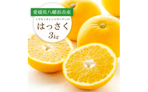 ＜2026年2月以降発送＞ぷりぷり!酸味さわやか 八朔(はっさく)3kg＜C25-187＞【1609975】