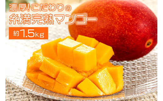 【 先行予約 2026年 発送 】 濃厚 ! こだわりの糸満 完熟マンゴー 約 1.5kg 沖縄県産 マンゴー アップルマンゴー アーウィンマンゴー 国産 完熟マンゴー 果物 南国 くだもの フルーツ 完熟 夏 旬 沖縄 お取り寄せ 産地直送 農家直送 甘い 糸満市