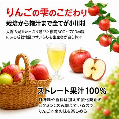 ふるさと納税 小川村 サンふじりんご100%ジュース1L2本*201 |  | 01