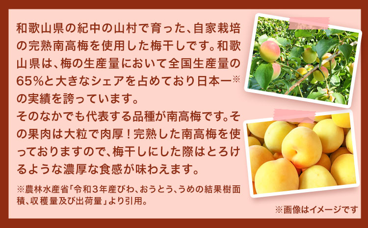 紀州南高梅使用しそ仕込み完熟梅干し800g厳選館《90日以内に出荷予定(土日祝除く)》梅干ししそ仕込み紀州南高梅---wsh_genskume_90d_22_13000_800g---