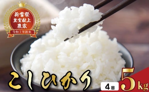 令和7年産 コシヒカリ 白米 4ヵ月連続 定期便 5kg × 4回 20kg