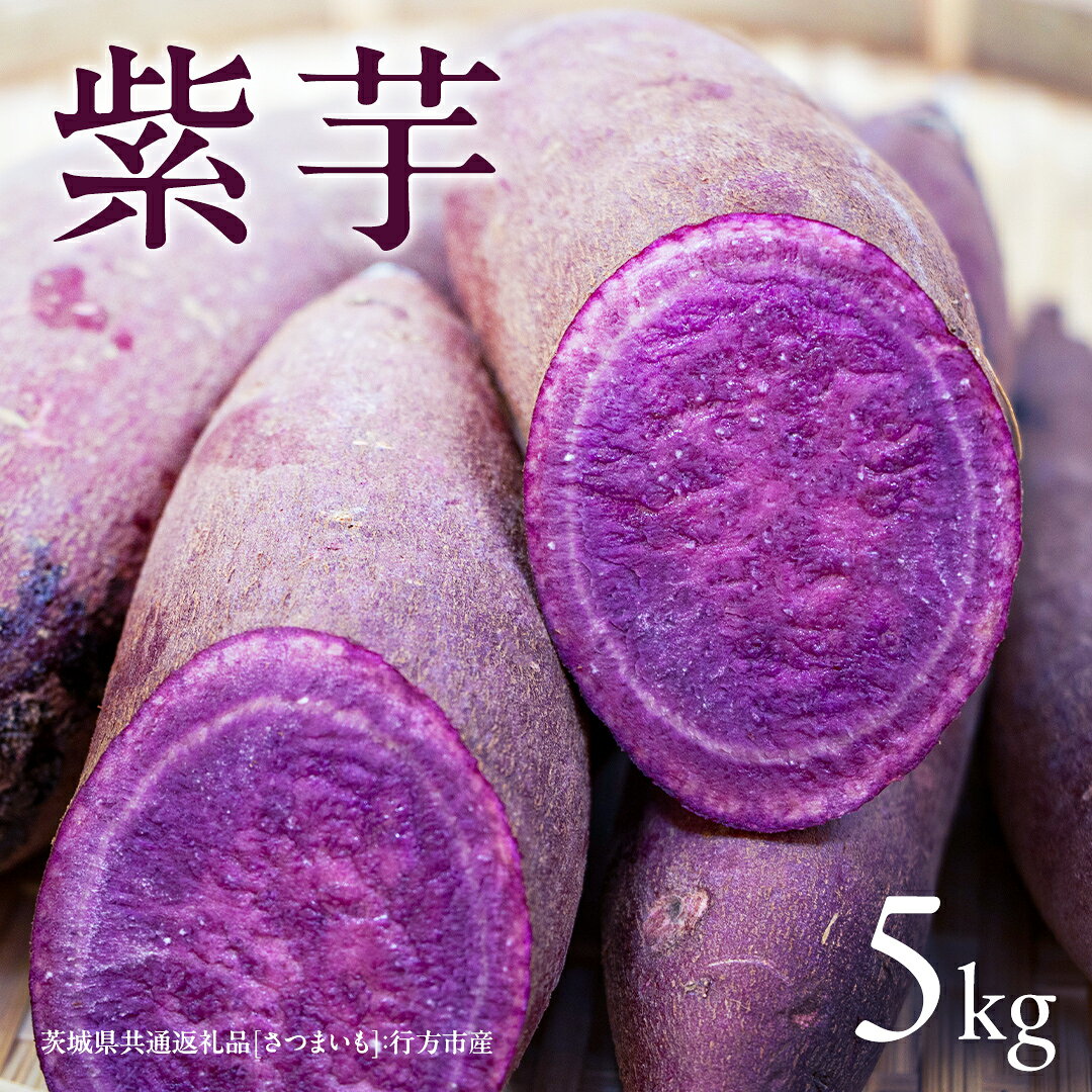 【ふるさと納税】紫芋 5kg 【2026年12月より発送開始】（茨城県共通返礼品 [さつまいも]：行方市産） さつまいも 生芋 芋 いも 野菜