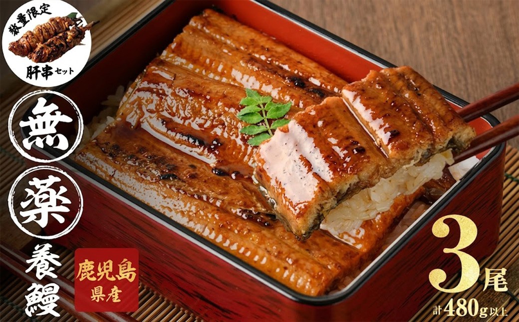 
                  【無薬養鰻】 鹿児島産 山田のうなぎ ＜計480g以上＞（160g以上×3尾） 肝串セット うなぎ 鰻 ウナギ 無薬 養鰻 無投薬 3尾 国産 九州産 蒲焼き かばやき 冷凍 うな重 ひつまぶし タレ 山椒 ※肝串はサイト限定 a6-062
                