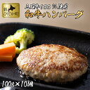 【ふるさと納税】 北海道産 黒毛和牛 みついし牛 ハンバーグ 1kg ( 100g × 10個 ) ブランド ブランド牛 和牛 牛肉 牛 肉 ビーフ ハンバーグステーキ お惣菜 惣菜 10枚 セット冷凍 北海道 新ひだか町