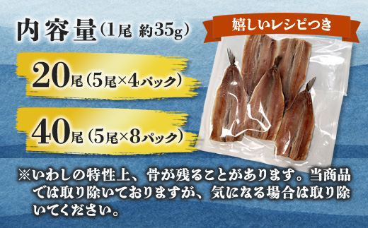 舞鶴産 無塩いわし開き 20尾  骨抜き バラ凍結 レシピ付き | 鰯 無塩 開き 骨抜き バラ 冷凍 海鮮 魚介 干物 京都 舞鶴市