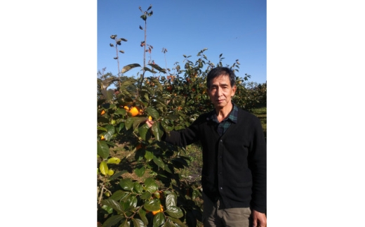 柿の中の柿、最も古くから愛されている美味しい富有柿　約3.5kg(10～14個)【1473340】