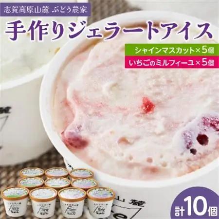 信州なかの　手作りジェラート2種セット(10個入り)【配送不可地域：離島】【1204751】