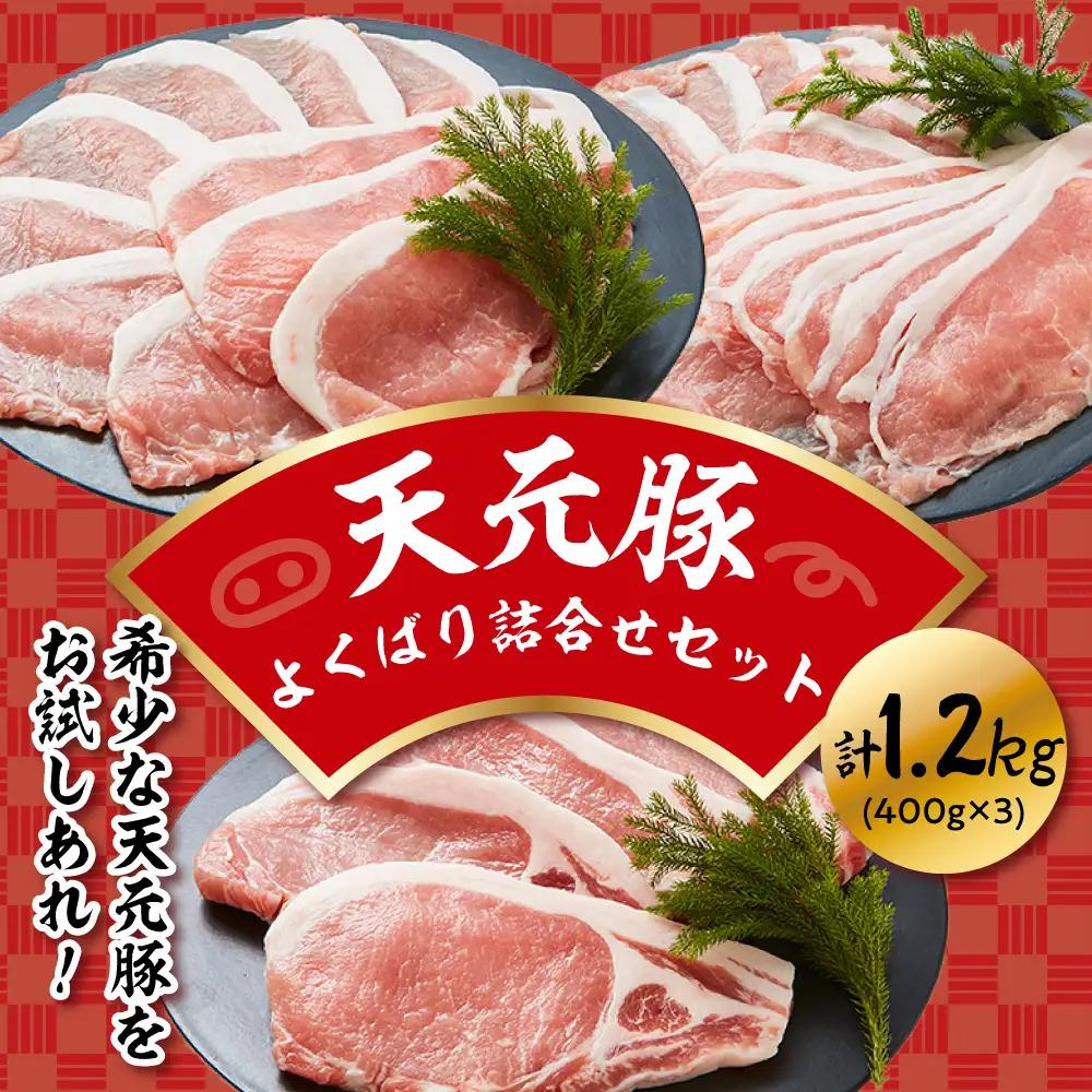豚肉 天元豚 よくばり 詰合せ セット 計1.2kg