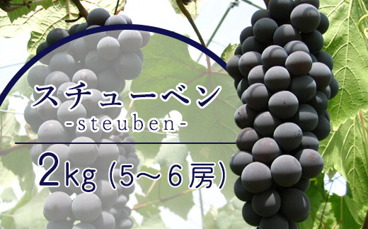 
《 先行予約 数量限定 》 【 令和6年産 】 スチューベン 2kg 5 ～ 6房 ぶどう 〔 9月下旬 ～ 10月下旬頃お届け 〕 2024年産 農家直送 産地直送 [053-002]
