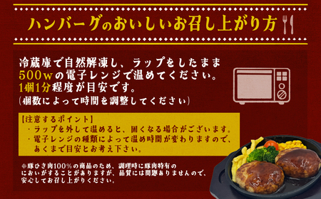 赤村養生館 特製手ごねハンバーグ 14個 B19