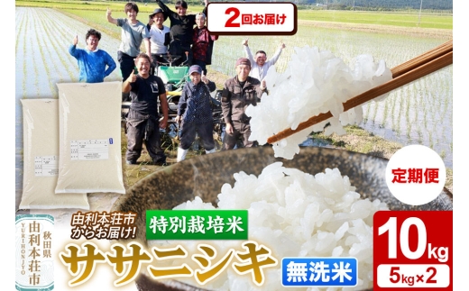 《定期便2ヶ月》令和7年産【無洗米】特別栽培米 ササニシキ 10kg（5kg×2袋）秋田県産 [ササニシキ 米 お米 白米 精米 無洗米 特別栽培米 ブランド米 食卓 秋田県産 秋田県 由利本荘市]