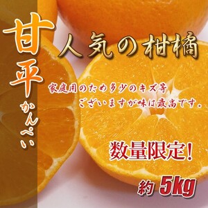 訳あり 甘平 5kg ご家庭用 人気 数量限定 先行予約 みかん 愛媛 柑橘 【2026年1月下旬以降順次発送】 | B151