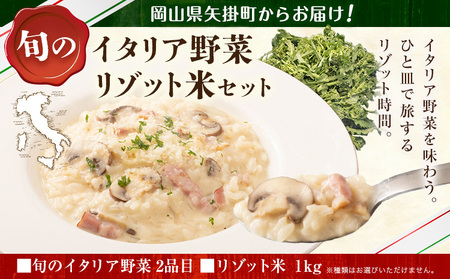 矢掛町自慢のイタリア野菜2品目＆リゾット米1kg《1月上旬-3月末頃出荷》