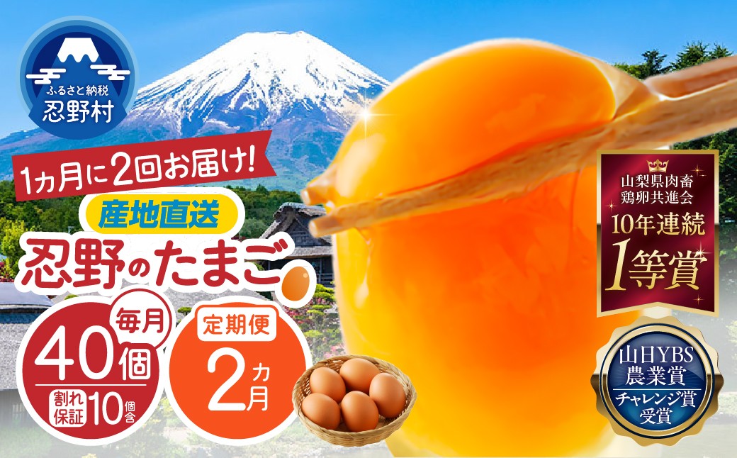 
                  ＼チョイス限定／ 【月2回発送・2ヶ月定期便】 富士山の麓で育った産地直送 ”忍野の卵” （20個×4回） ※割れ保証含む　[卵 定期便 定期 国産 産地直送 毎月 生卵 玉子 たまご 卵かけご飯 卵焼き 親子丼 目玉焼き すき焼き オムライス オムレツ スイーツ作り 料理 調理 人気 鶏卵 鶏 新鮮 2ヵ月 2か月 山梨県 忍野村]
                
