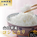 【ふるさと納税】 【先行予約／令和6年度新米】 コシヒカリ 30Kg ［精米］［山口県宇部産］ 【令和6年度 新米 コシヒカリ 30Kg 精米 山口県産 宇部産 地元米 農家直送 宇部市産 美味しい お米 寒暖差 霜降山麓 綺麗な水 高品質米 新鮮米 収穫直後 国産米 ご飯 炊き立て 】