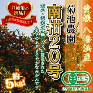 【JAS認証有機栽培】濃厚な味わいの温州みかん!!菊池農園「南柑20号」5kg【C39-23】【1044610】