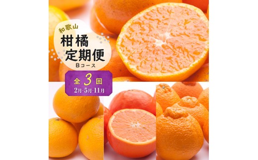 
                  季節の柑橘定期便B【計3回】【和歌山県有田】_ZH7025
                