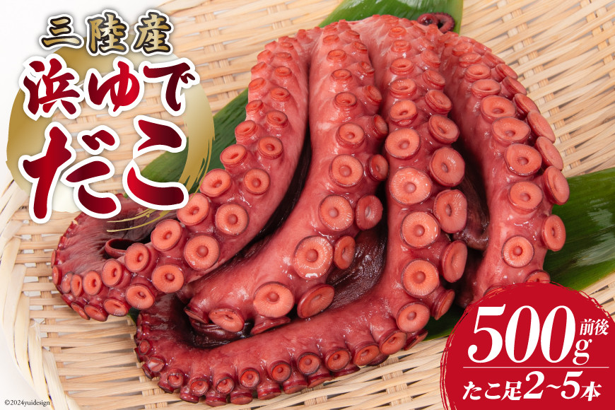 
                  タコ 三陸産 浜ゆでだこ 約500g (足2～5本入) [村東商店 宮城県 気仙沼市 20564846] たこ 蛸 茹でダコ 茹で蛸 茹蛸 三陸 冷凍 タコ足 蛸足 たこ足 水ダコ 水蛸 水だこ 浜ゆで ごちそう 海鮮 魚介 魚介類
                