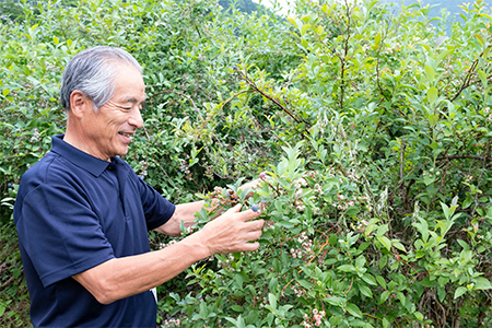 【2024年7月発送】朝どれ「生ブルーベリー」詰め合わせ＜1kg＞【栽培期間中農薬・化学肥料未使用】【配送不可地域：離島】【1210660】
