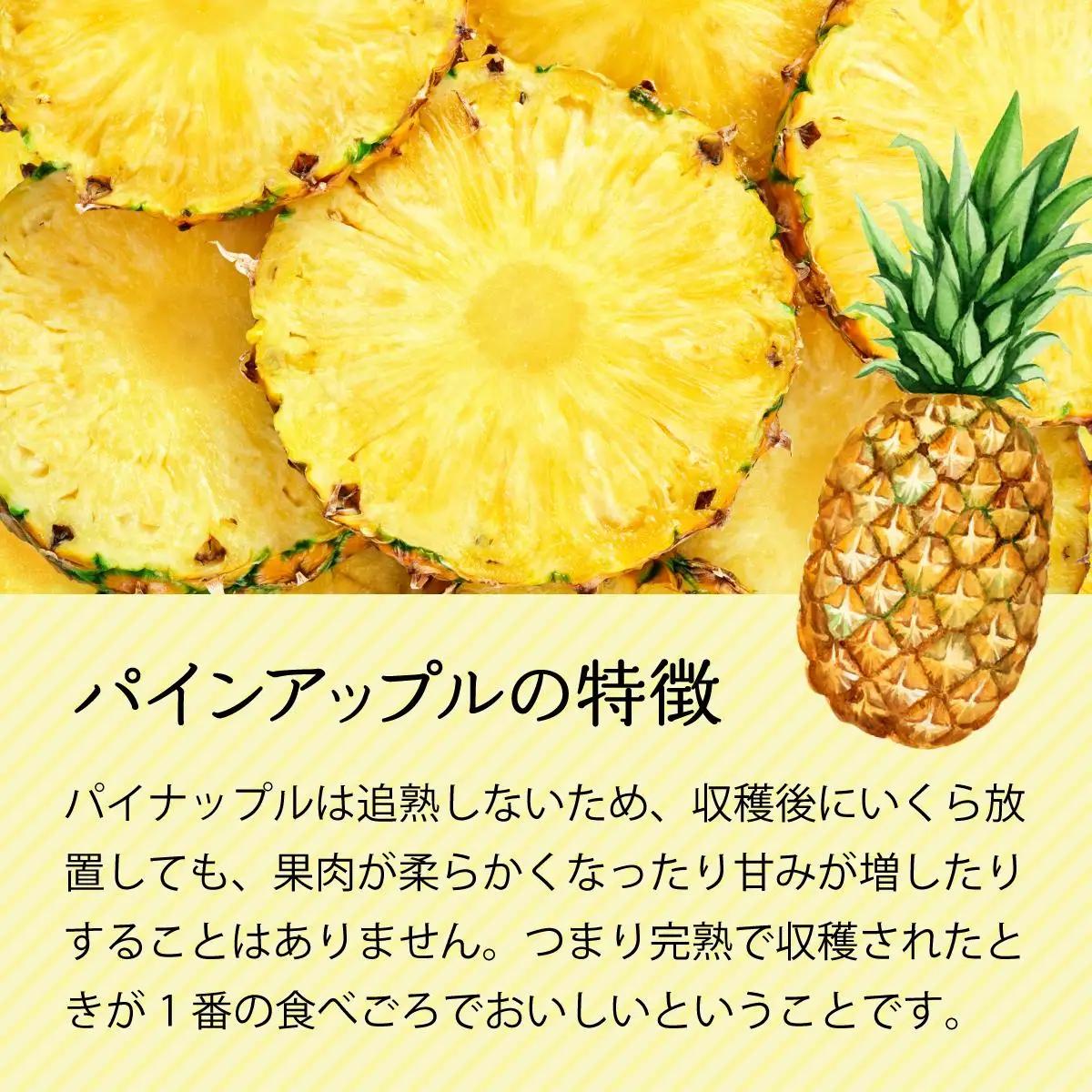 完熟 パインアップル 約6kg