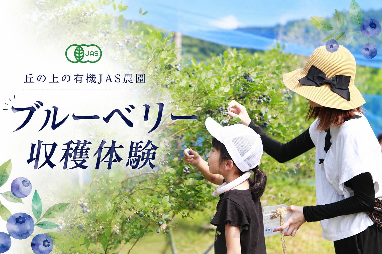 
                  丘の上の有機JASブルーベリー農園で1日1組限定（5名様まで）の収穫体験
                