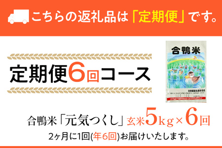 合鴨米「元気つくし」（玄米・5ｋｇ）定期便6回コース　BI10　※2023年10月中旬より順次出荷予定(隔月発送予定)