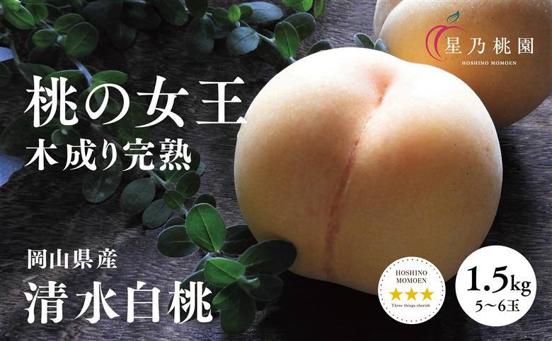 【清水白桃】岡山県産 三つ星 星乃桃園 1.5kg (5～6玉)【配送不可地域：離島・北海道・沖縄県】