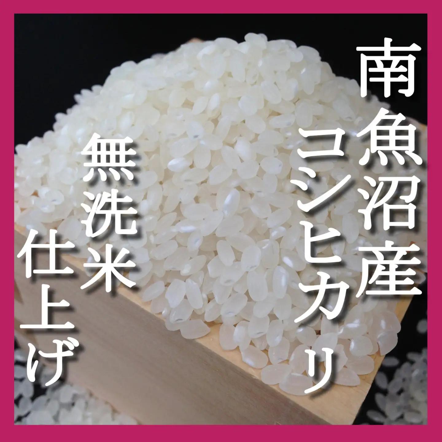 【令和7年】【頒布会8Kg×全3回】無洗米 吟精 南魚沼産コシヒカリ｜無洗米