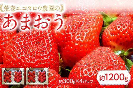 荒巻エコタロウ農園のあまおう約300g×4パック(約1200g)　【2026年1月〜3月】　BJ04