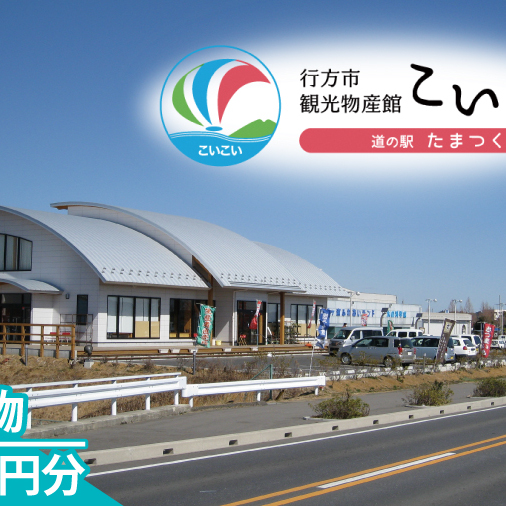 CT-21　行方市観光物産館「こいこい」お買物6,000円分
