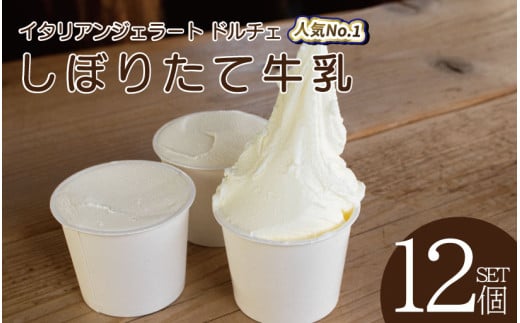 ジェラート イタリアンジェラート しぼりたて牛乳 12個 × 120ml アイスクリーム アイス シャーベット デザート スイーツ お菓子 洋菓子 おやつ 牛乳 ミルク ギフト プレゼント 贈答 お取り寄せ グルメ 冷凍 徳島県 阿波市 イタリアンジェラートドルチェ