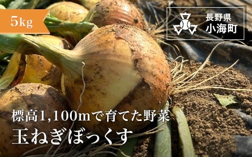 
            あとくら農園 玉ねぎぼっくす５kg| 野菜 新鮮 旬 玉ねぎ 【 2026年発送 先行予約 】
          