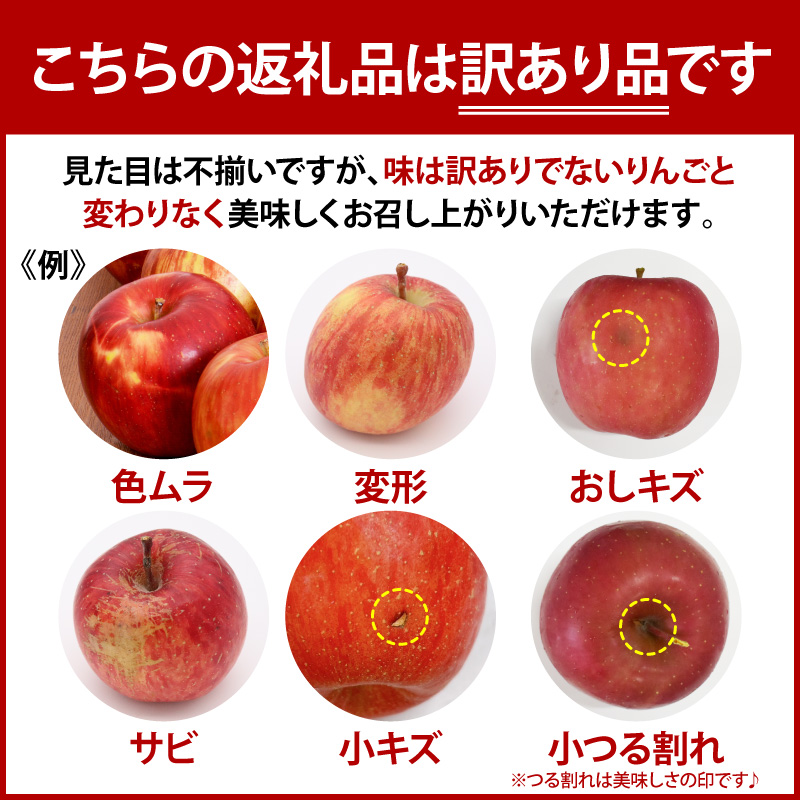 【2027年2月後半発送】【訳あり】青森県産 葉とらず サンふじ りんご 約5kg