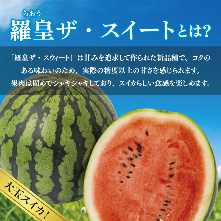 【先行予約 6月中旬から順次配送】すいか 羅皇 ザ・スイート 3L（1玉入り）【果物 甘い スイカ　西瓜 茨城県 阿見町産】(76-02)