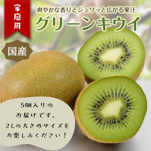 【ふるさと納税】東伊豆・佐藤農園のキウイ　家庭用　5個入（2Lサイズ） 1396 ／ 佐藤農園 果物 フルーツ 農家直送 静岡県 東伊豆町