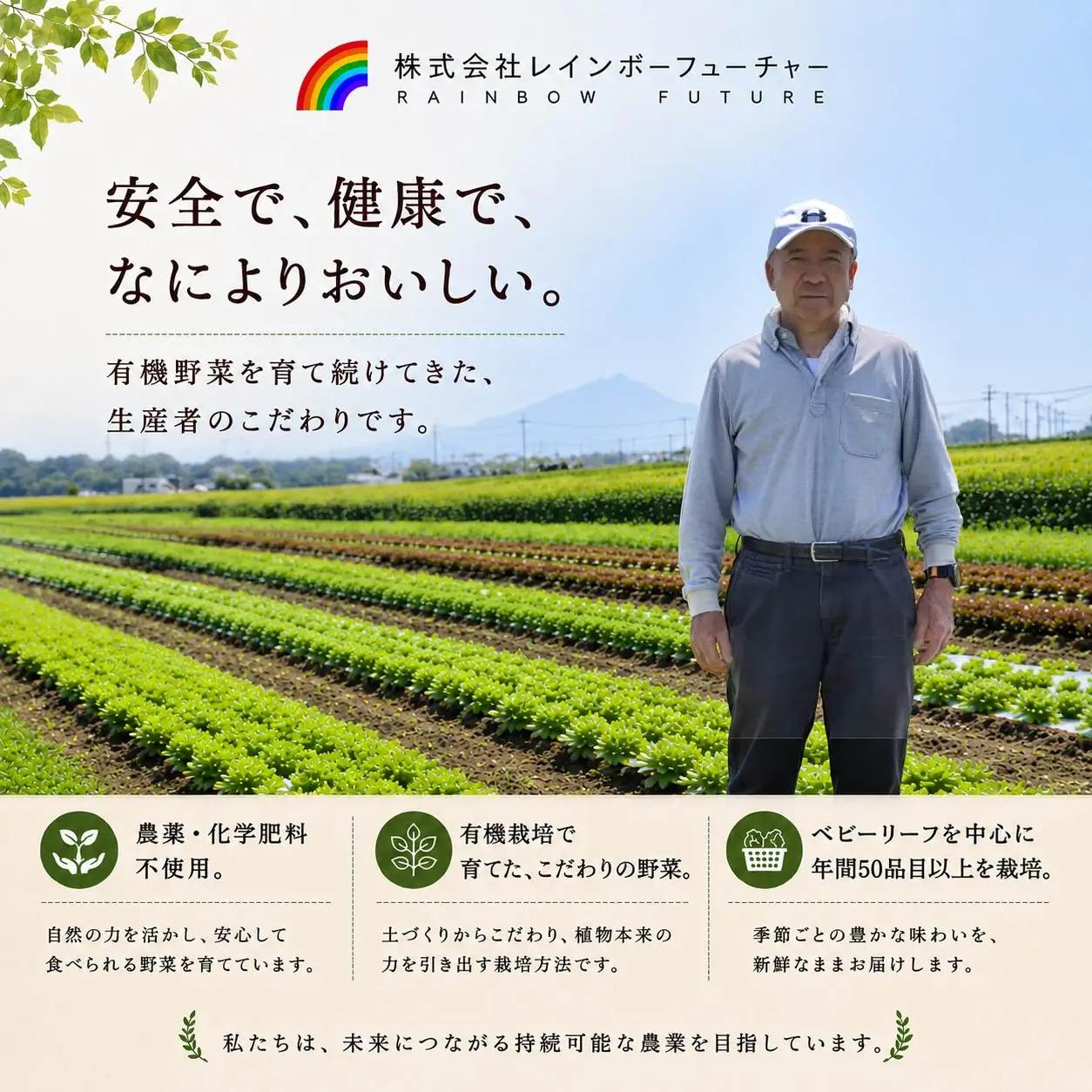 【毎月定期便4回】有機 野菜セット 8種 有機野菜 rbf001