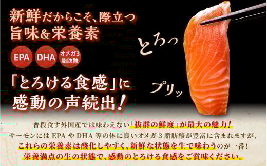 9月5日～数量限定寄付額改定 国産ワンフローズントラウトサーモン【800g】