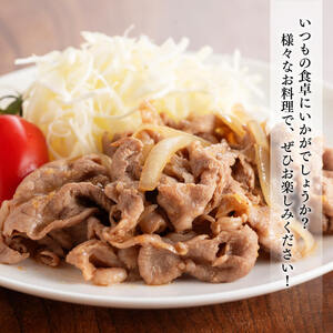 豚肉 宮崎県産豚肉小野さんちの豚肉切り落とし2.5kg