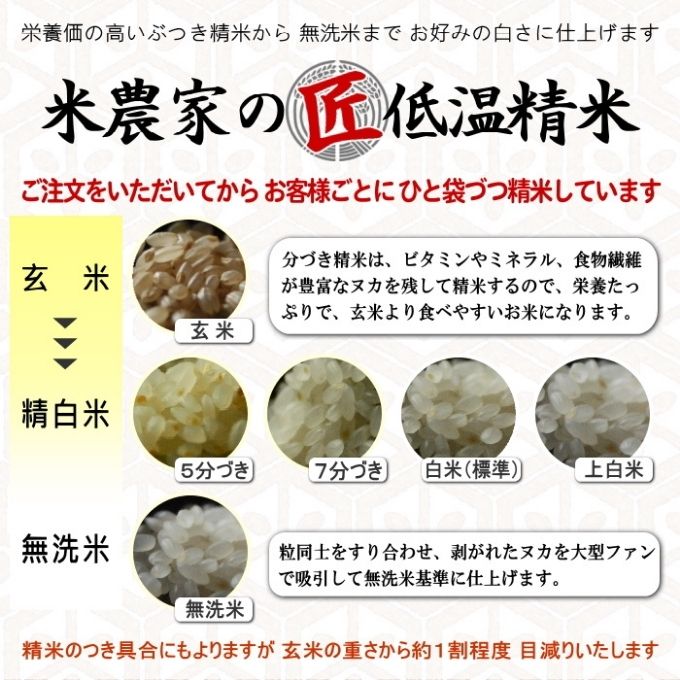 無洗米 【令和7年産】 コシヒカリ 10kg (5kg×2)[ 無洗米 ] 精米にて 奥播州源流 芥田川産 芥田川 農家直送 10キロ 国産米 こしひかり  贈り物 喜ばれる お米ギフト おいしいお米