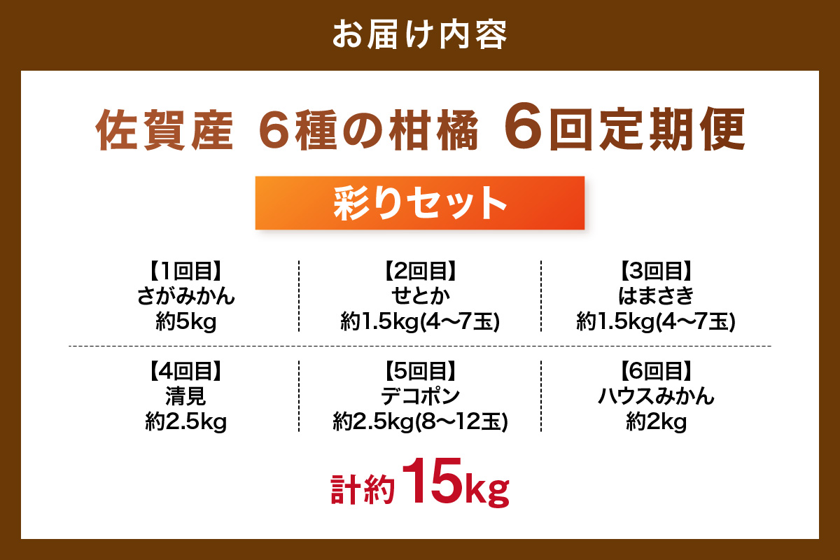 佐賀産 柑橘6種定期便 彩りセット【全6回】999-B861