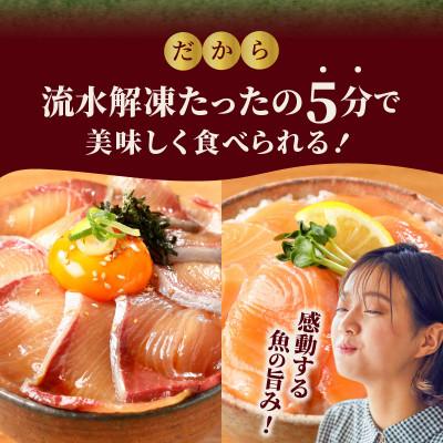 ふるさと納税 延岡市 延岡産活〆ブリと生サーモンの海鮮丼/2種食べ比べセット(8パック入り) |  | 02