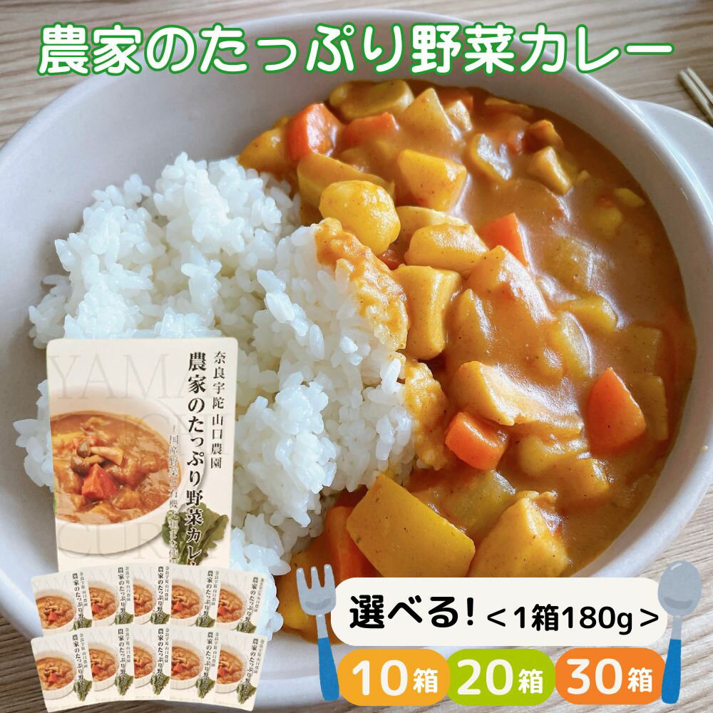 【ふるさと納税】＜選べる箱数＞農家のたっぷり野菜カレー 10箱・20箱・30箱／レトルトカレー 詰め合わせ ギフト 10食 20食 30食 野菜 ふるさと 有機野菜 オーガニック 飯 簡単 時短 保存食 奈良県 宇陀市 山口農園