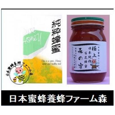 ふるさと納税 竹田市 【国産はちみつ】 日本純粋百花蜂蜜 「森の蜜」 600g×1本 化粧箱入り