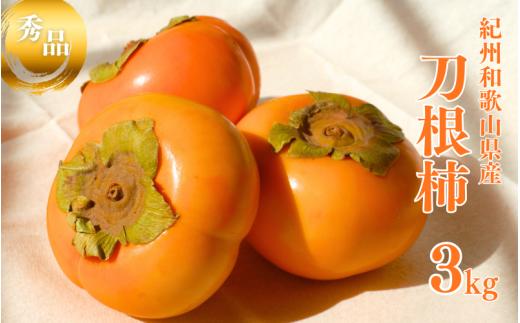 【☆令和8年産☆先行予約】たねなし柿 刀根柿【秀品】約3kg ※箱込み【2026年9月下旬～10月上旬に順次発送致します。】/ 和歌山県 紀美野町 2L～4L 種なし カキ 柿 かき 刀根 【frt015】