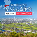 【ふるさと納税】返礼品なし 熊本県八代市 おうえん寄附金(1,000,000円単位でご寄附いただけます)