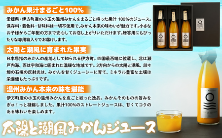 【愛媛県産】太陽と潮風みかんジュース（720ml×3本） 果汁100％ 【ふるさと納税 人気 おすすめ ランキング みかん ミカン 蜜柑 ジュース みかんジュース ミカンジュース クリエイト伊方 愛媛